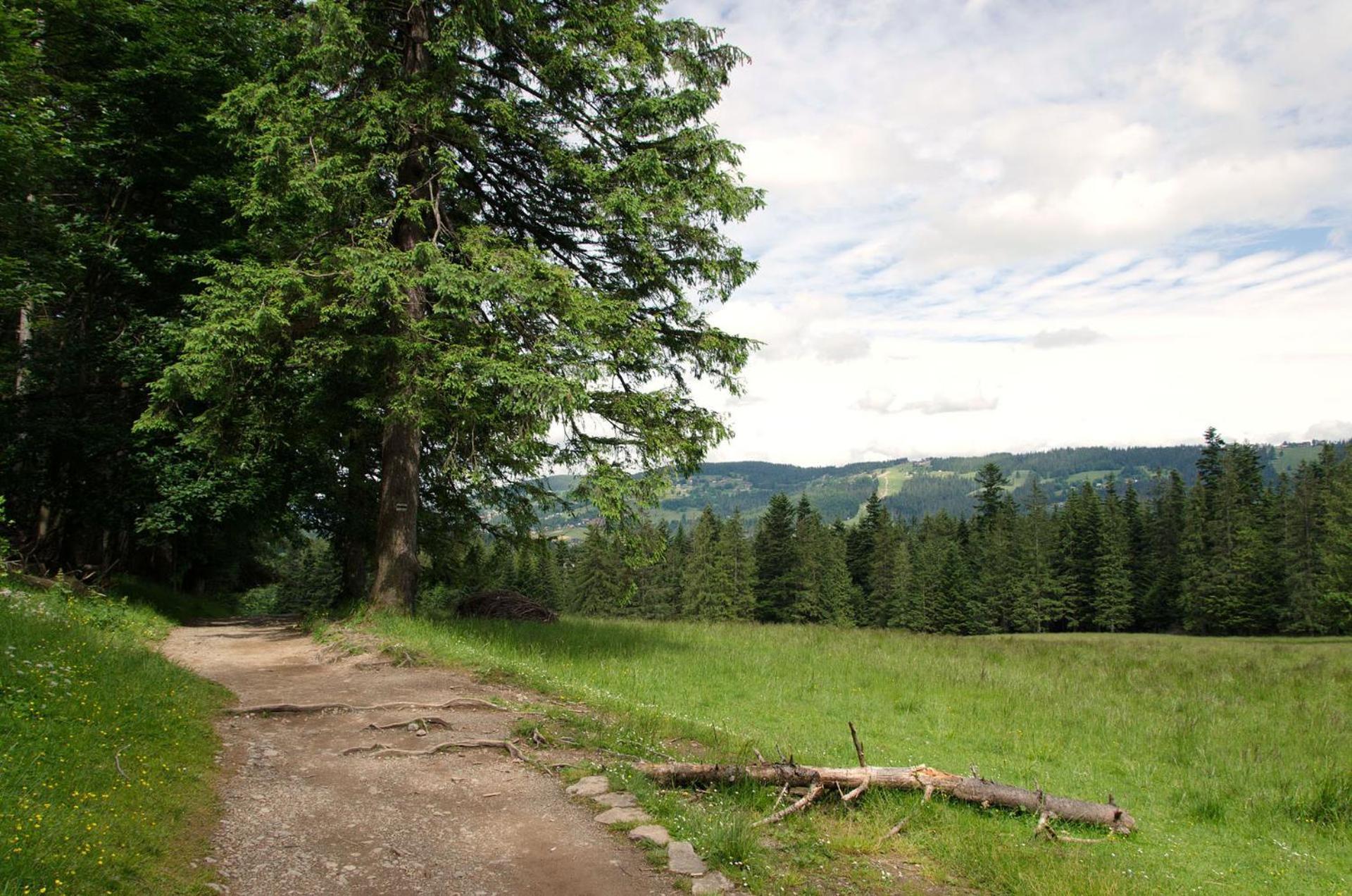 Domek Sekret Zakopane Exterior photo
